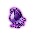 Shadow Pidgeot